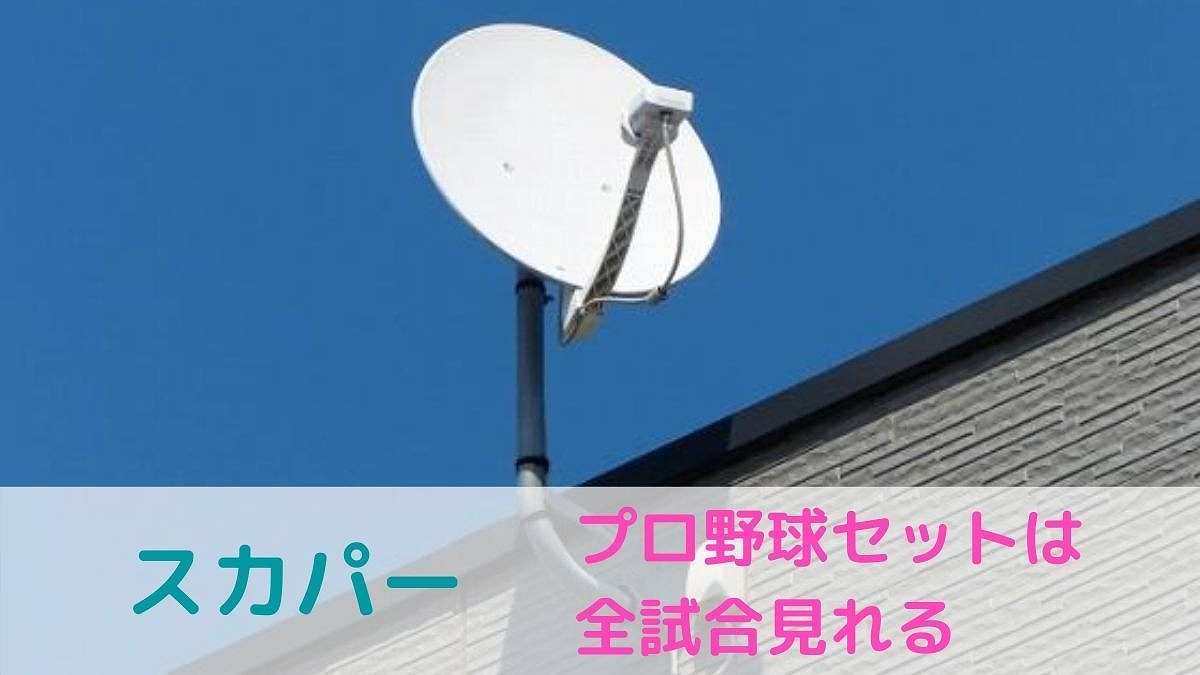 スマホでも見れる スカパープロ野球セットなら全試合視聴できます かなろぐ