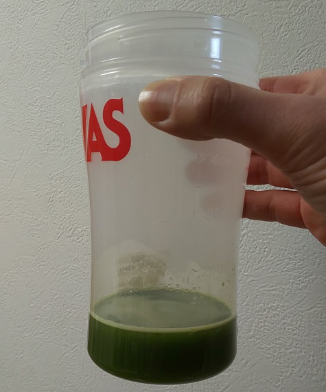 ケール青汁を水で溶かしたときの見た目
