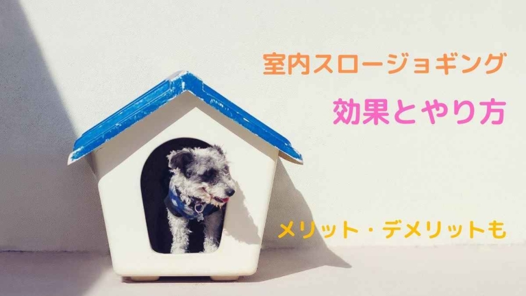 その場ジョギング3つの効果とやり方を解説 コロナ 暑さ対策に かなろぐ その場ジョギング3つの効果とやり方を解説 コロナ 暑さ対策に かなろぐ